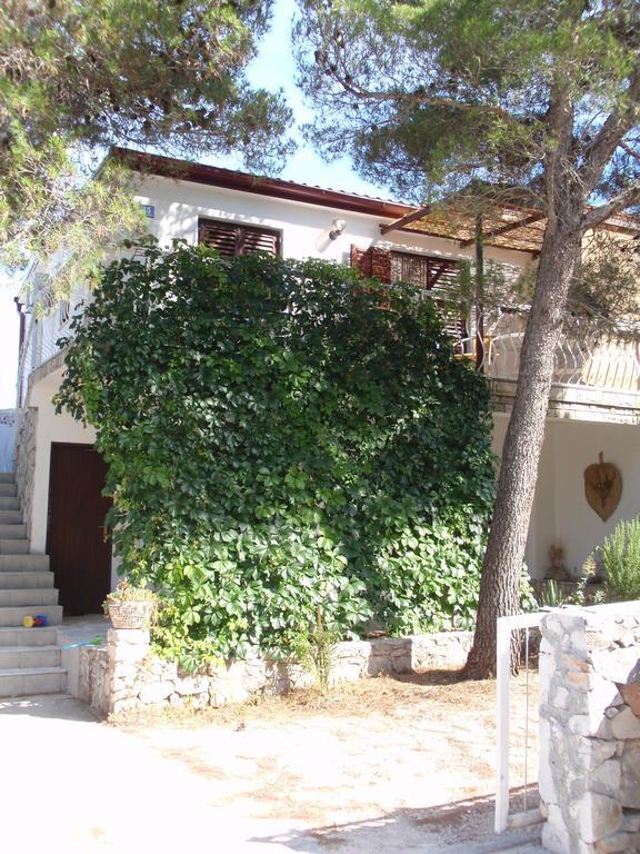 Apartman Fox Apartment Pirovac Exterior foto